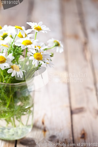 Image of chamomile bouquet in jar 