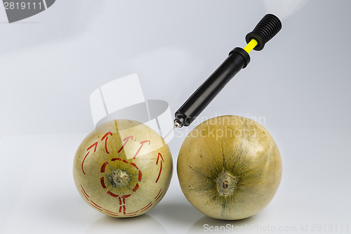 Image of Melons and bicycle pump