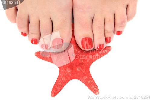 Image of womens legs (nails) and starfish 