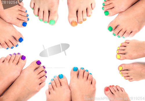 Image of womens legs and nails isolated on the white background