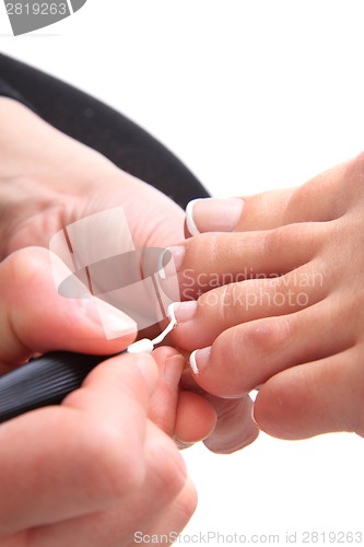 Image of pedicure (work with womens nails)
