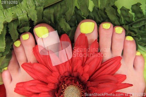 Image of womens legs with nice nails (pedicure)