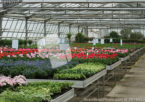 Image of Greenhouse