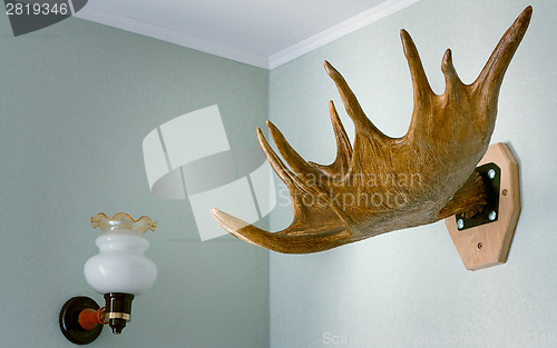 Image of Trophy of the hunter - a horn of an elk. It is presented as an i