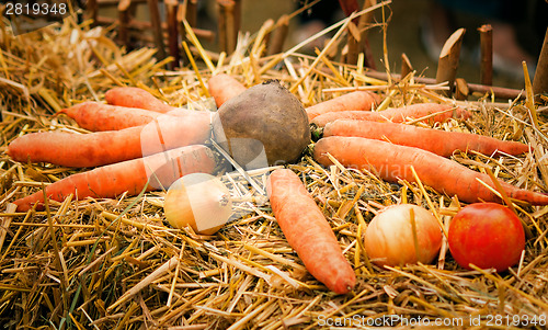 Image of The vegetables located for sale at fair.