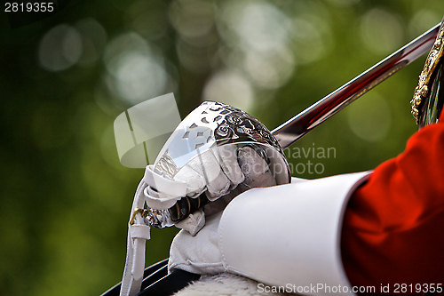 Image of Trooping of the Colour in London, Britain 2006/06/17