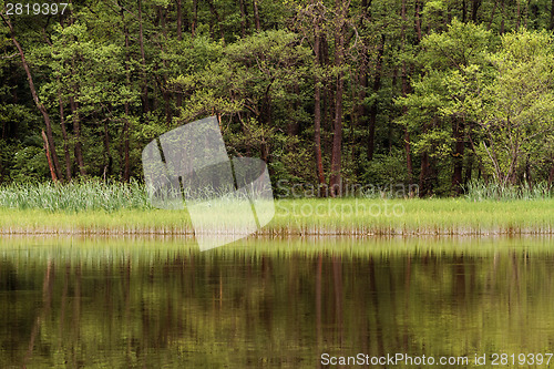 Image of Beautiful lake
