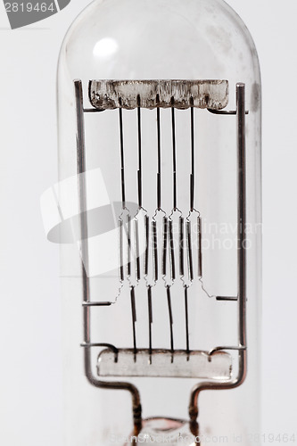 Image of Old bulb