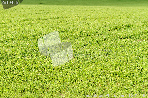 Image of Rural farming