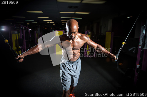 Image of Cable Weight Training Exercises