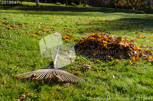 Image of rake lying next to piles of autumn leaves  