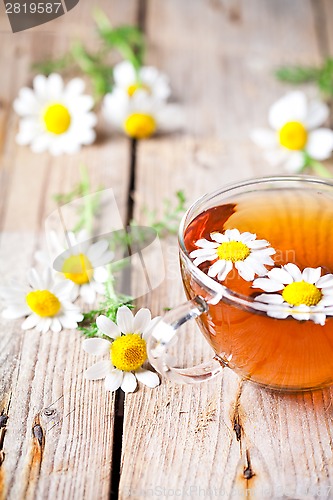 Image of cup of tea with chamomile flowers 