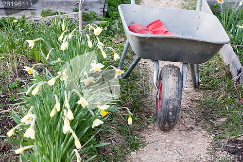 Image of gardening works