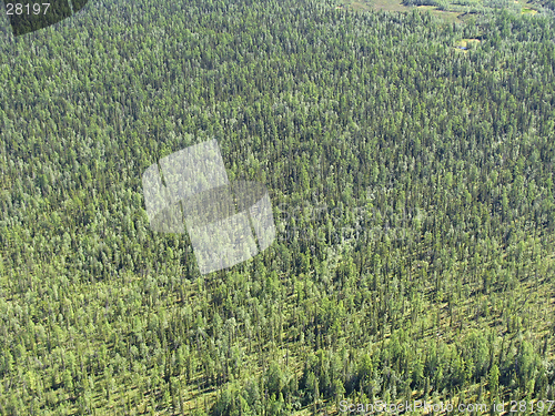 Image of Aerial view on siberian taiga  landscape