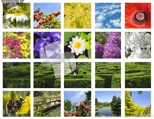 Image of flower collage