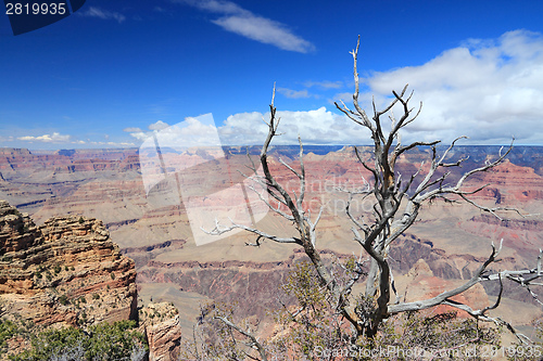 Image of Grand Canyon