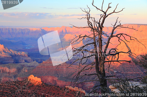 Image of Grand Canyon sunset