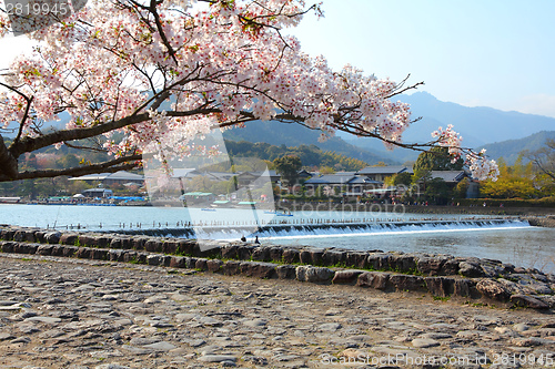 Image of Japan