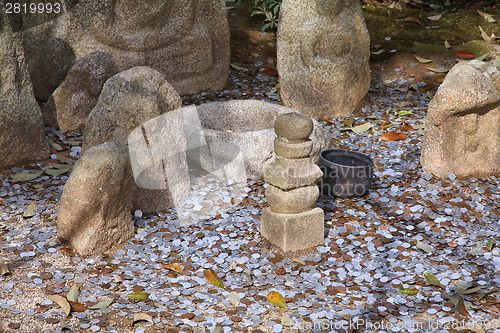 Image of Lucky coins