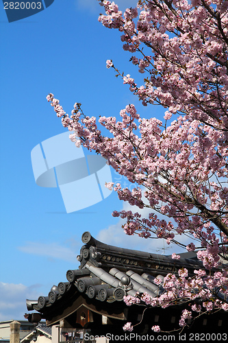 Image of Kyoto