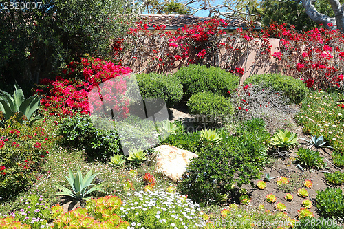 Image of Garden in Malibu