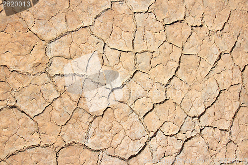 Image of Desert background