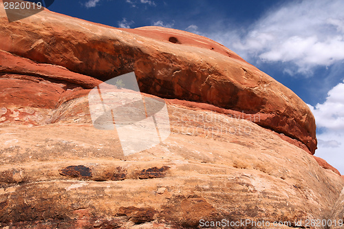 Image of Canyonlands National Park