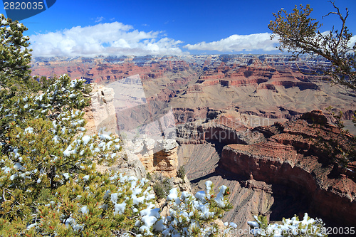 Image of Grand Canyon