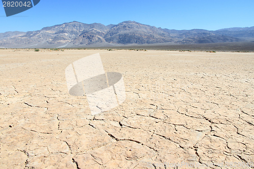 Image of Mojave Desert