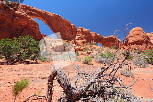 Image of Arches National Park