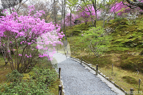 Image of Japanese garden