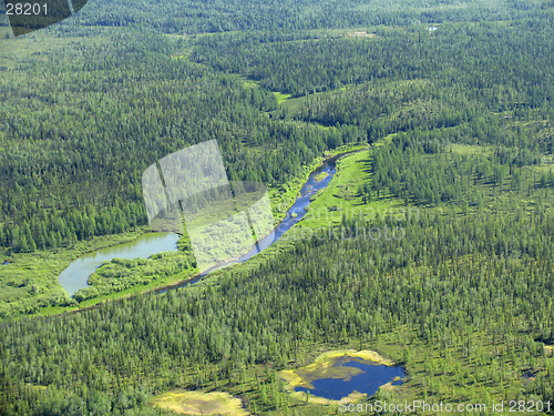 Image of Siberian taiga  landscape