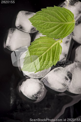 Image of Ice and mint