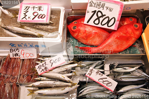 Image of Japan fish market