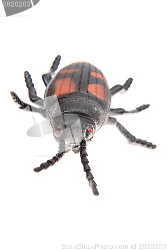 Image of plastic beetle toy (bug)