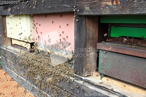 Image of detail of bee hive 