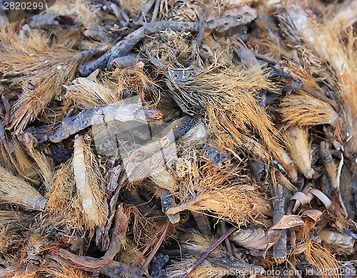 Image of Spices and herbs on market 