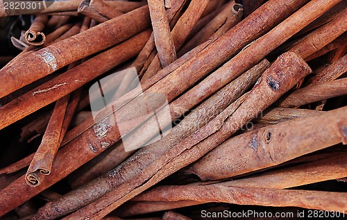 Image of Cinnamon sticks