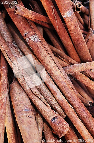 Image of Cinnamon sticks