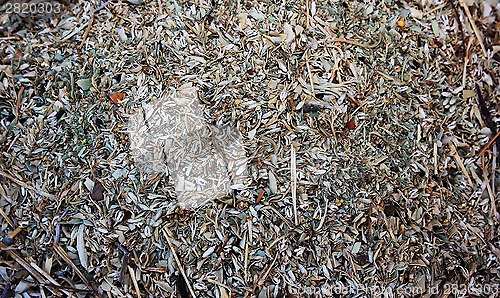 Image of Spices and herbs on market