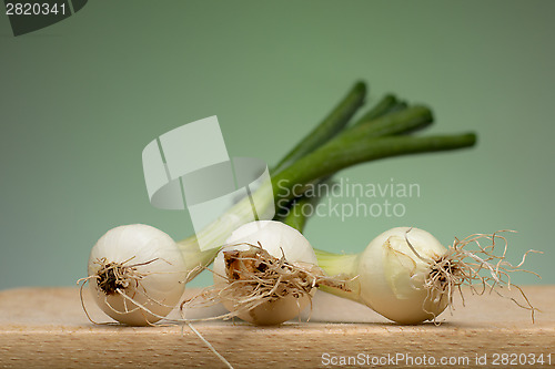 Image of Onion