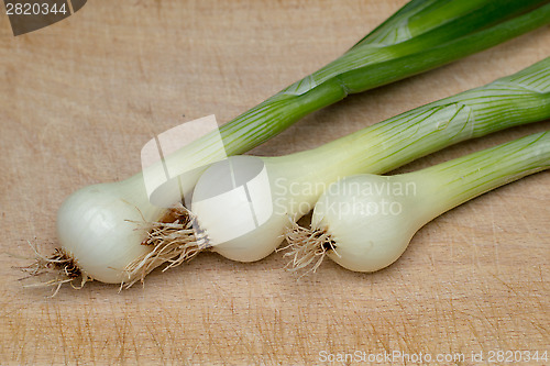 Image of Onion