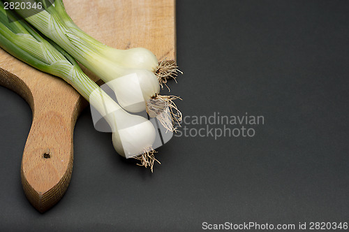 Image of Onion