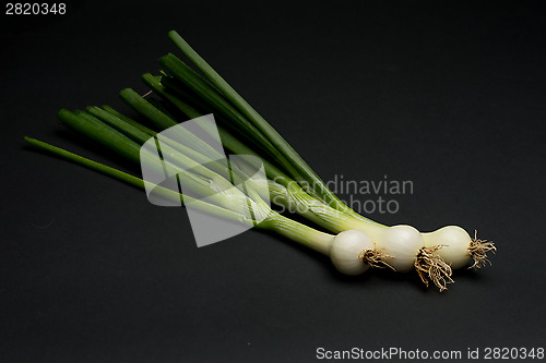 Image of Onion
