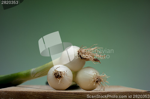 Image of Onion