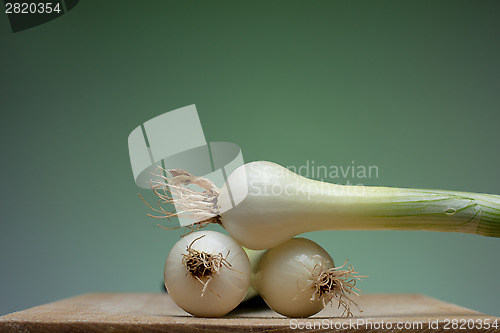 Image of Onion