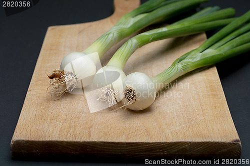 Image of Onion