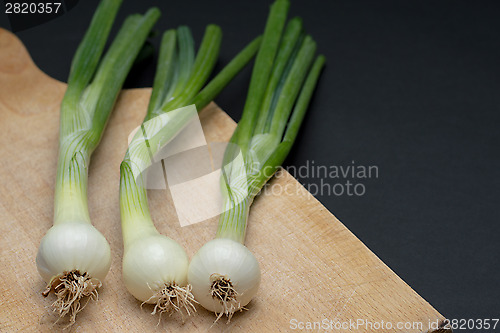 Image of Onion