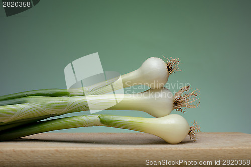 Image of Onion