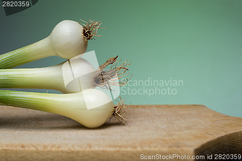 Image of Onion